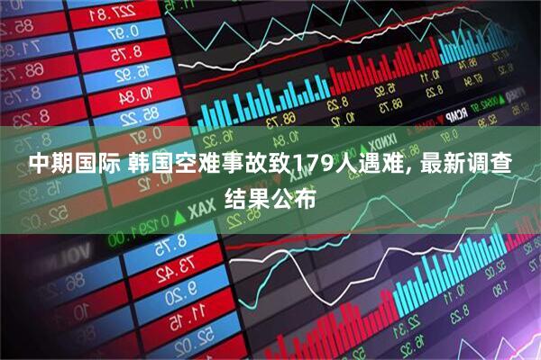中期国际 韩国空难事故致179人遇难, 最新调查结果公布