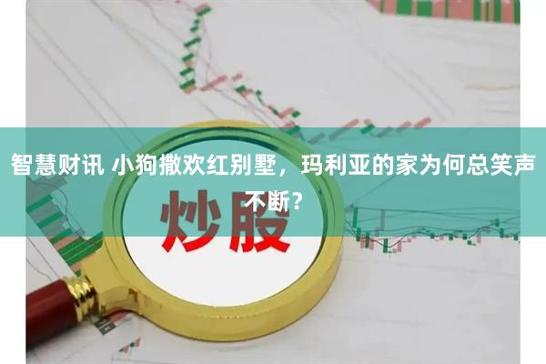 智慧财讯 小狗撒欢红别墅，玛利亚的家为何总笑声不断？