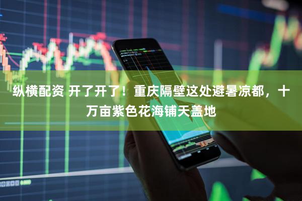 纵横配资 开了开了！重庆隔壁这处避暑凉都，十万亩紫色花海铺天盖地