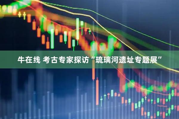 牛在线 考古专家探访“琉璃河遗址专题展”